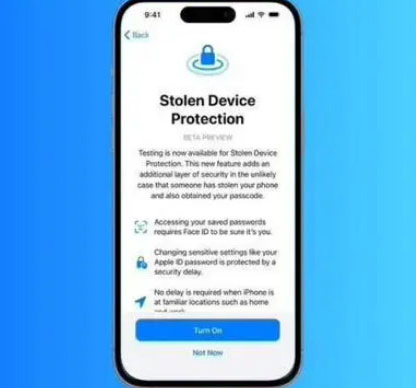 陇南苹果授权维修店分享被盗设备保护功能开启方法 