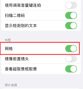 陇南苹果手机维修网点分享iPhone如何开启九宫格构图功能 