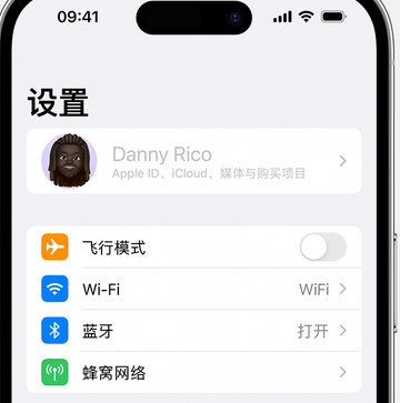 陇南appleID维修服务iPhone设置中Apple ID显示为灰色无法使用 