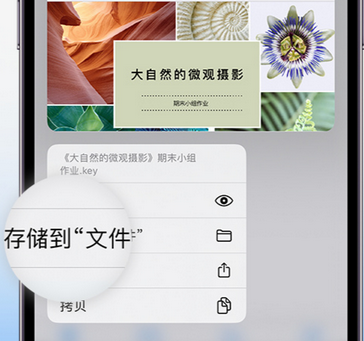 陇南apple维修中心分享iPhone文件应用中存储和找到下载文件