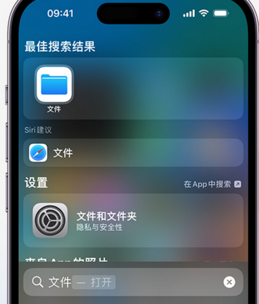 陇南apple维修中心分享iPhone文件应用中存储和找到下载文件 