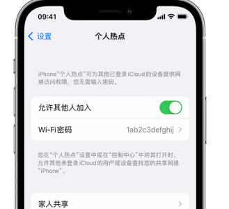 陇南apple服务站点分享iPhone上个人热点丢失了怎么办 