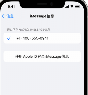 陇南apple维修iPhone上无法正常发送iMessage信息