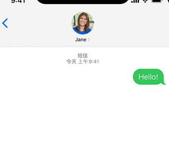 陇南apple维修iPhone上无法正常发送iMessage信息