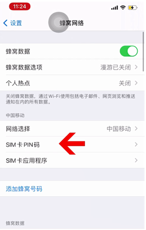 陇南苹果14维修网分享如何给iPhone14的SIM卡设置密码 