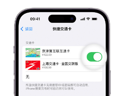 陇南apple维修点分享iPhone上更换Apple Pay快捷交通卡手绘卡面 