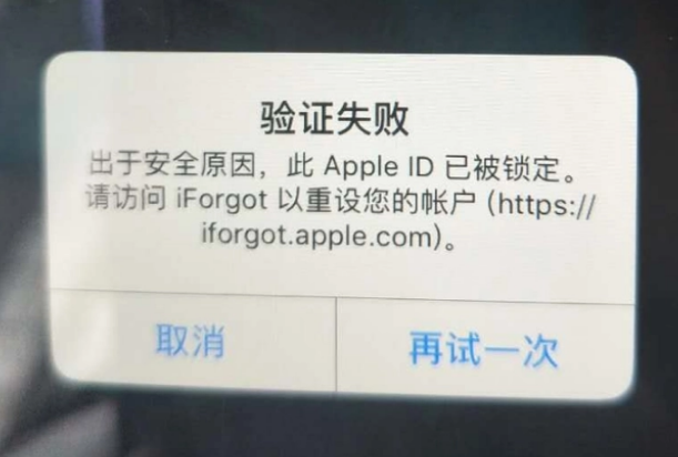 陇南iPhone维修分享iPhone上正常登录或使用AppleID怎么办 