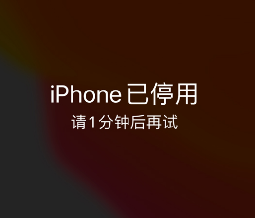 陇南苹果手机维修分享:iPhone 显示“不可用”或“已停用”怎么办？还能保留数据吗？ 