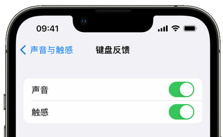 陇南苹果手机维修分享iPhone 14触感键盘使用方法 