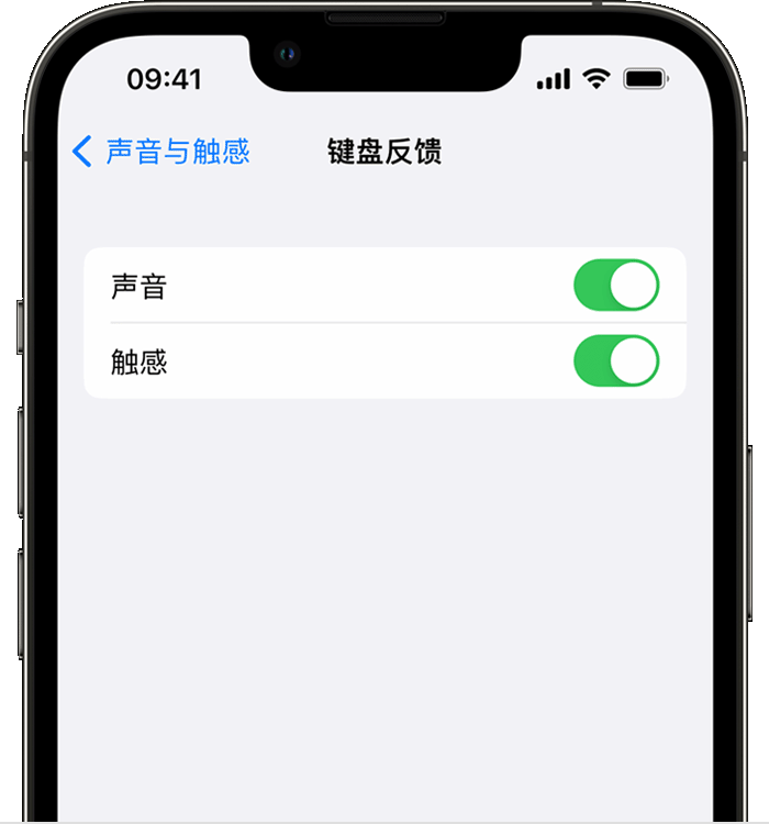 陇南苹果14维修店分享如何在 iPhone 14 机型中使用触感键盘 