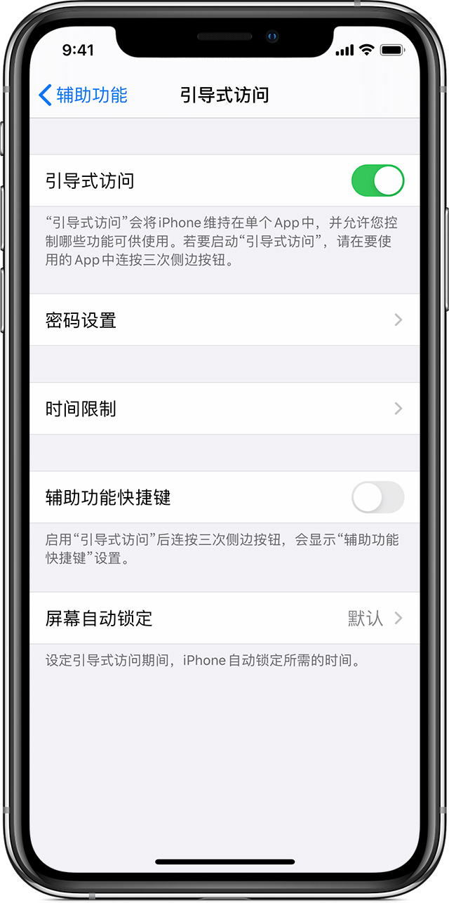 陇南苹果手机维修分享如何在 iPhone 上退出引导式访问 