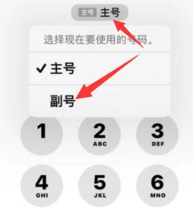 陇南苹果14维修店分享iPhone 14 Pro Max使用副卡打电话的方法 