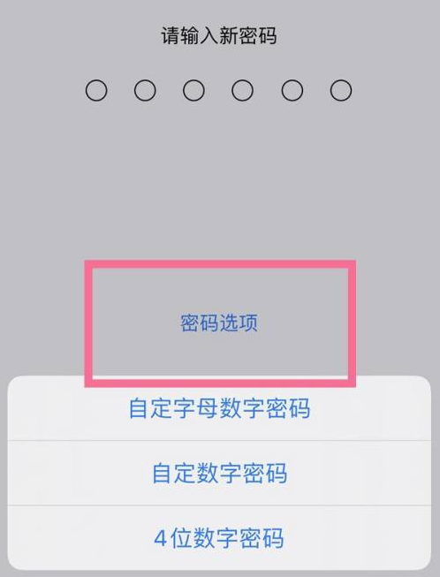 陇南苹果14维修分享iPhone 14plus设置密码的方法 