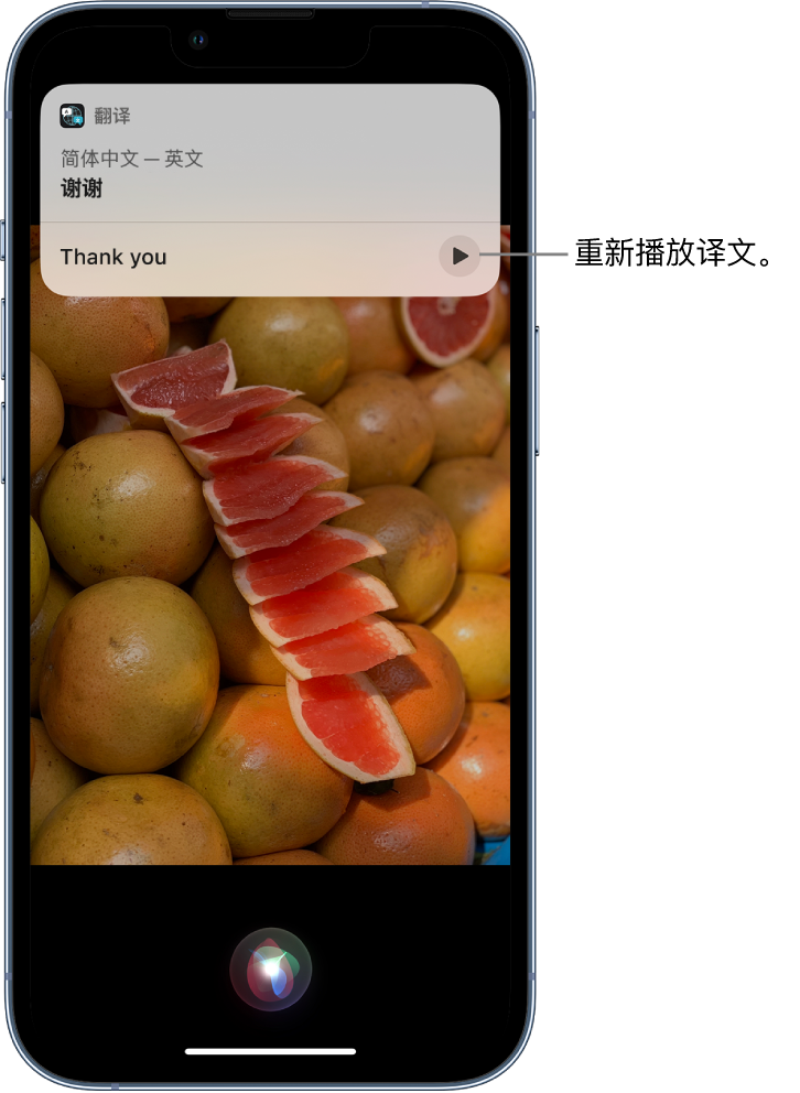 陇南苹果14维修分享 iPhone 14 机型中使用 Siri：了解 Siri 能帮你做什么 