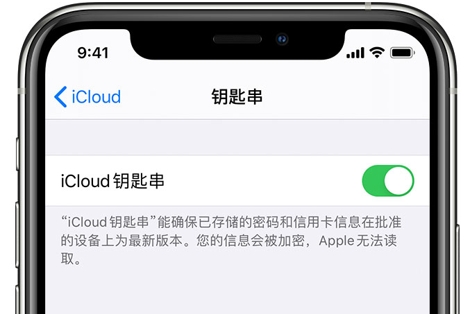 陇南苹果手机维修分享在 iPhone 上开启 iCloud 钥匙串之后会储存哪些信息 