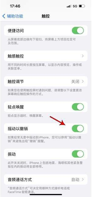 陇南苹果手机维修分享iPhone手机如何设置摇一摇删除文字 