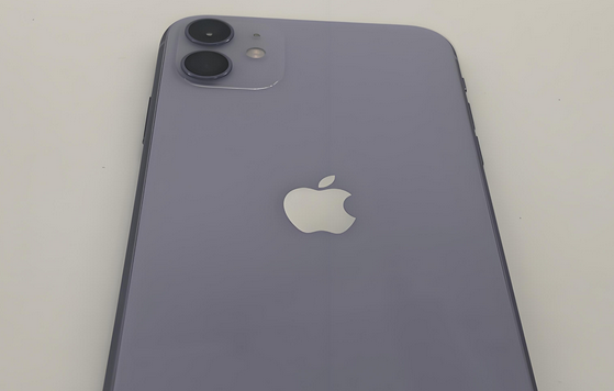 陇南苹果11系统维修分享iPhone11手机系统崩溃无法开机如何解决
